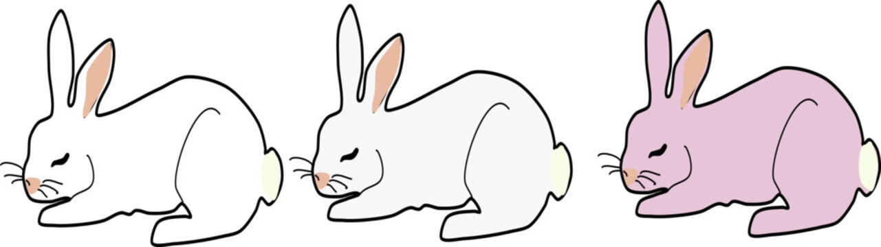 3 bunny vector with  different color for background , wallpaper, design, logo etcetera 