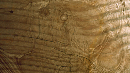 amazing wood images for your use