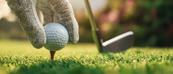Golfer preparing to putt a ball on a tee with a club on a sunny day at a lush green course