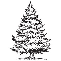 Tree, Christmas fir tree, black silhouette isolated on white background. Vector, spruce tree silhouette, vector illustration