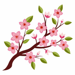 cherry blossom branch