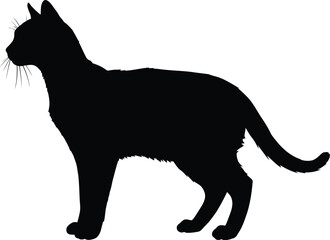 Black cat silhouette standing profile