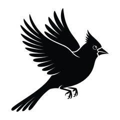 Fototapeta premium Cardinal Flying Bird Silhouette, Vector, Illustration, Outline, Line Art, Icon, Logo, White Background.