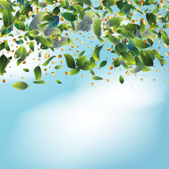 Autumn Fall Leaf Vector Isolated on Transparent Background. Flying Forest Tree Foliage with Blur Elements for Frame Design. October Sale Pattern Illustration. November Wind Season Banner Decoration. 
