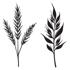 Botanical Plant Silhouette Vector Illustration, Minimalist Black Leaf and Wheat Branch Design for Nature, Floral, Organic Artwork