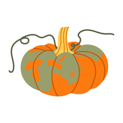 Autumn pumpkin with green and orange colors. For seasonal design, harvest themes and fall decorations or Thanksgiving designs. Hello autumn.