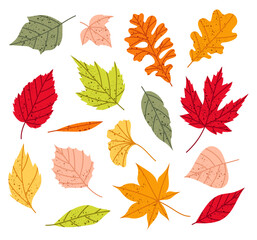 Autumn leaves. Set different leaves of maple, oak and other trees. Autumn decoration in flat style. Yellow, red, orange fall leaf for pattern, banner, sticker. Hello autumn.