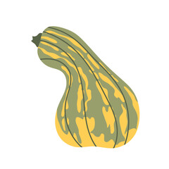 Illustration autumn pumpkin with green and yellow colors. Perfect for seasonal design, harvest themes and fall decorations or Thanksgiving designs. Hello autumn.
