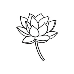 lotus flower line design
