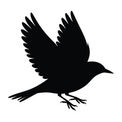 Fototapeta premium Lark Flying Bird Silhouette, Vector, Illustration, Outline, Line Art, Icon, Logo, White Background.