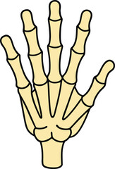 skeleton hand on transparent background