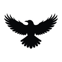 Fototapeta premium Raven Flying Bird Silhouette, Vector, Illustration, Outline, Line Art, Icon, Logo, White Background.