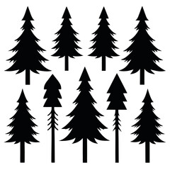 Obraz premium Silhouettes of evergreen trees in a forest&nbsp;setting