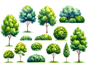 Fototapeta premium A vibrant collection of isolated green trees with lush foliage and a mix of leaves and branches, perfect for illustrating nature's summer growth in any environment