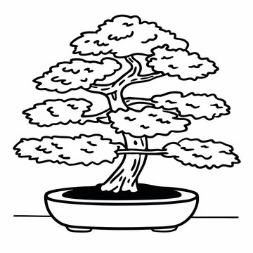 A singel beautiful bonsai tree 
