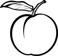 Apricot Fruit Vector Line Drawing for Logos
