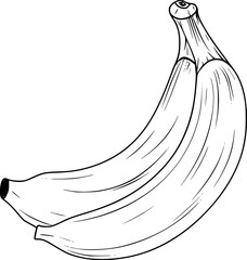 Banana Fruit Line Art Vector for Design Use
