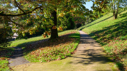 Chemin du Parc Beaumont à Pau