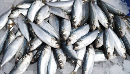 Fresh fish piled on ice