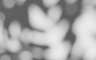 Abstract shadow overlay from foliage tree branch on a transparent background.