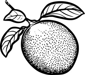 Breadfruit Lineart Sketch Vector for Logo Design