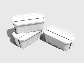 Two Recyclable Food Boxes Mockup Lunch Packaging