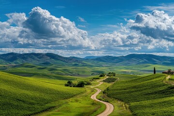 Fototapeta premium Road winds through Tuscan hills under sunny sky. Background is countryside landscape