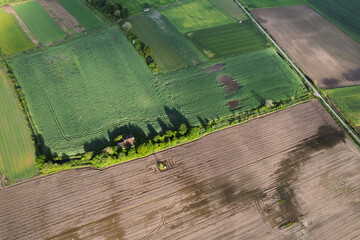 Fototapeta premium The Corner of a Harvested Field Meeting a Green One. Concept The meeting point of different cycles.