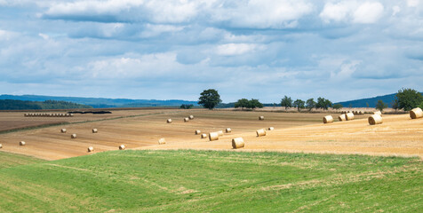 Agriculture field with hay or straw bale, cultivated barley, harvesting in summer, farmland on...