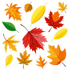 autumn leaves collection