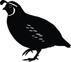 Quail silhouette minimalist bird vector art