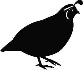 Quail silhouette vector bird icon