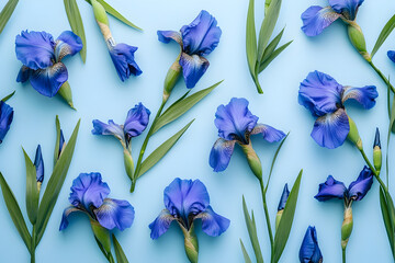 blue iris flower