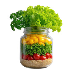 A glass jar filled with assorted vegetables showcasing their rich colors and freshness, perfect for home preserving or adding a healthy touch to meals and culinary creations.