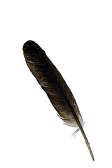 feather