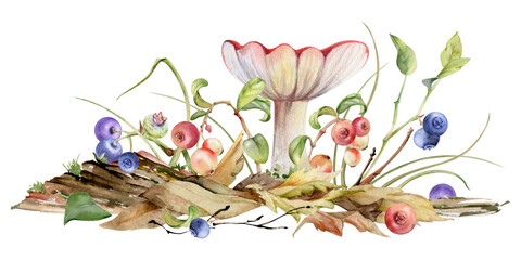 Russula cortinarius webcap mushroom, blueberry blackberry cranberry lingonberry branches on top of fallen autumn leaves pile with twigs. Forest floor natural illustration hand drawn in watercolor.