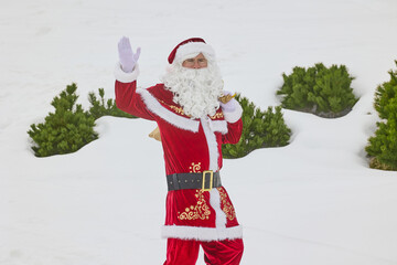 Santa Claus with a sack of gifts stands in a snowy pine forest