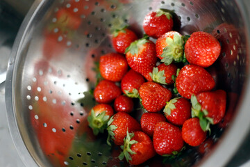 fraises rouges