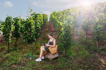 Authentic wine country experience, young woman enjoying grape harvest season
