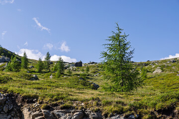 Hiking at Cima Tognola - Italy