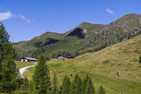 Hiking at Cima Tognola - Italy
