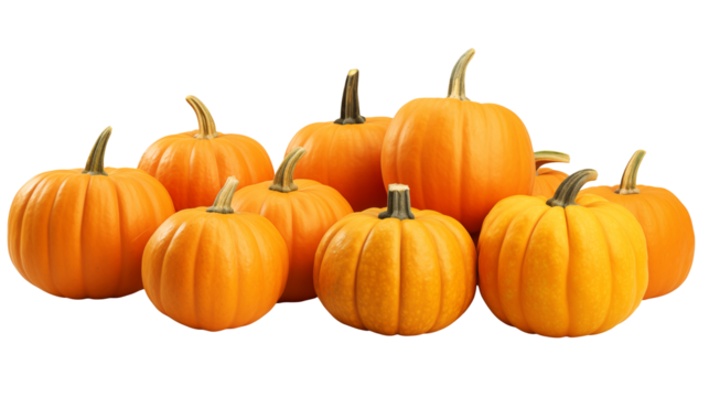 Harvest pumpkins for autumn festival and Halloween celebration season, inviting fall vibes and tasty recipes isolated on white or transparent png.