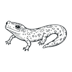 Naklejka premium Detailed black and white gecko sketch with spotted pattern and intricate lines. Vector illustration