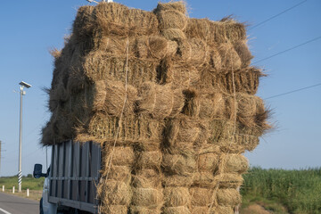 Overloaded truck transporting numerous rectangular hay bales on a rural road under a clear blue...