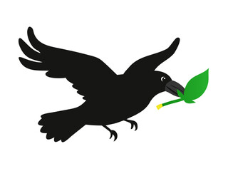Obraz premium Black bird flying with green leaf in beak