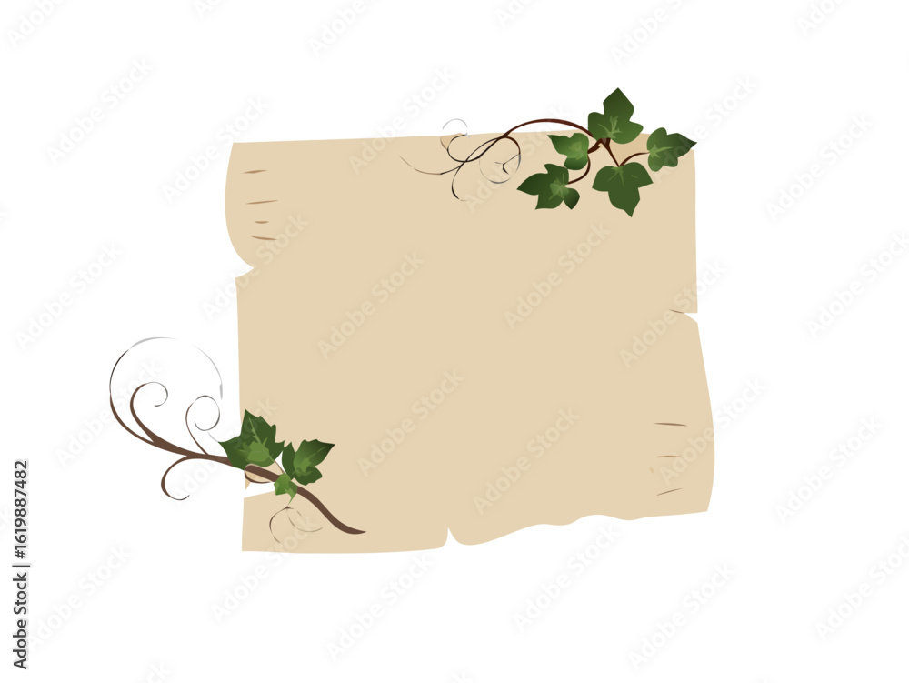 Aufkleber empty parchment scroll with vine in hand-drawn style