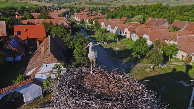 Aerial view of a stork nest in Viscri village, Romania. Viscri Village, famous travel destination in Romania. Authentic village with old houses. Single stork in the nest at sunset. Beautiful landscape
