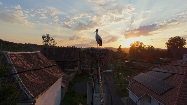 Aerial view of a stork nest in Viscri village, Romania. Viscri Village, famous travel destination in Romania. Authentic village with old houses. Single stork in the nest at sunset. Beautiful landscape