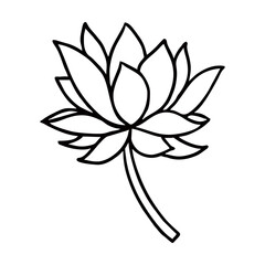 lotus flower line design 