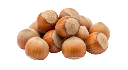 Isolated Pile of Hazelnuts